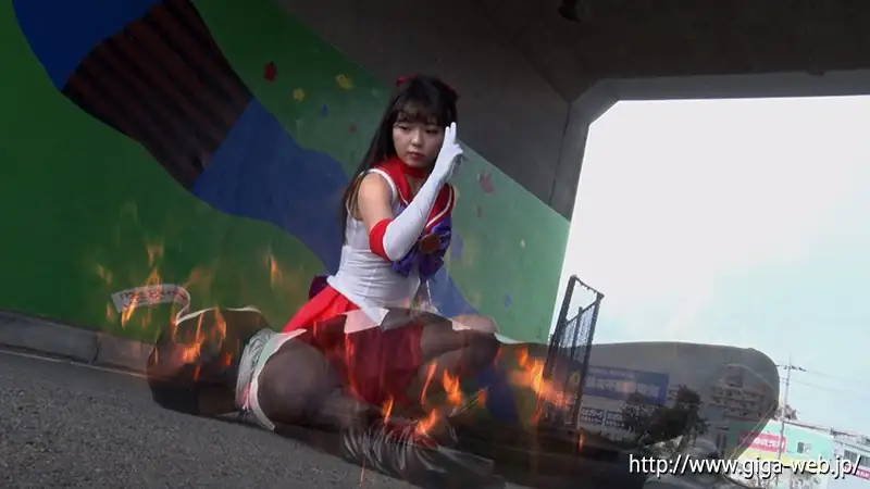 戦闘員を倒すセーラーアリス